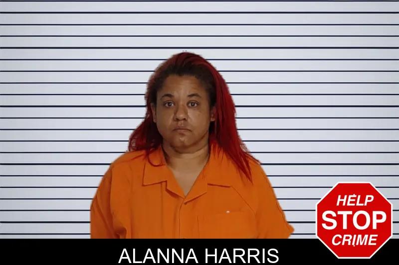 Alanna Harris mugshot – Rockdale County , Georgia Alanna Harris mugshot