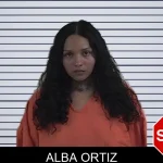Alba Ortiz mugshot – Fannin County , Georgia Alba Ortiz mugshot