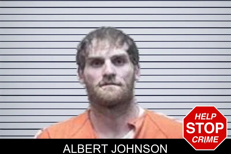 Albert Johnson mugshot – Tattnall County , Georgia Albert Johnson mugshot