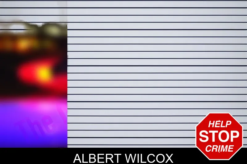 Albert Wilcox mugshot – Bacon County , Georgia Albert Wilcox mugshot