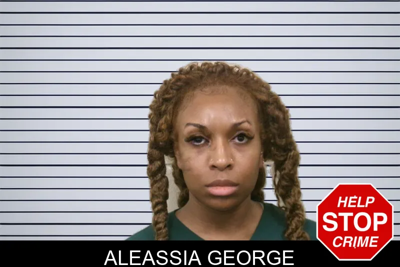 Aleassia George mugshot – Bulloch County , Georgia Aleassia George mugshot