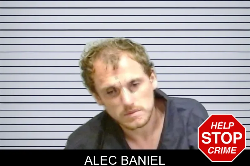 Alec Baniel mugshot – Fulton County , Georgia Alec Baniel mugshot