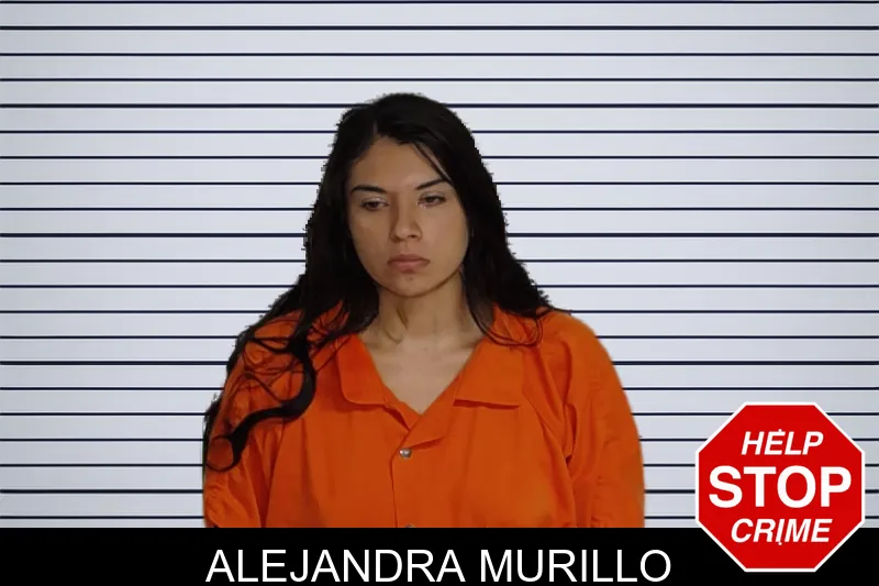 Alejandra Murillo mugshot – Rockdale County , Georgia Alejandra Murillo mugshot