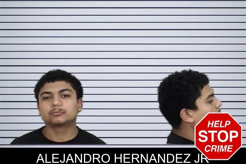 Alejandro Hernandez Jr mugshot – Camden County , Georgia Alejandro Hernandez Jr mugshot