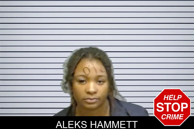 Aleks Hammett mugshot – Fulton County , Georgia Aleks Hammett mugshot