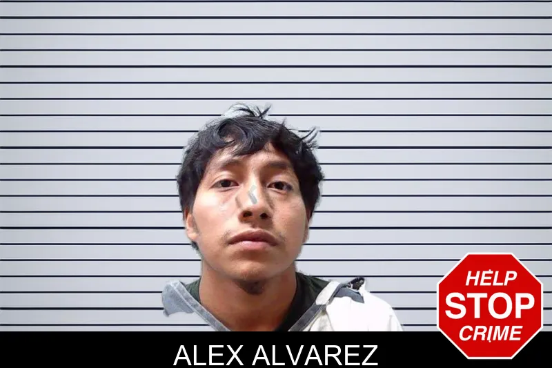 Alex Alvarez mugshot