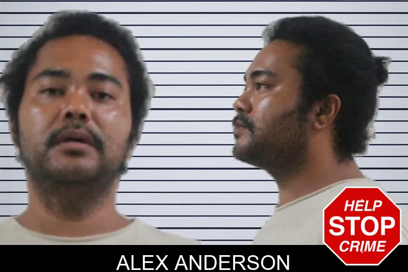 Alex Anderson mugshot – Houston County , Georgia Alex Anderson mugshot