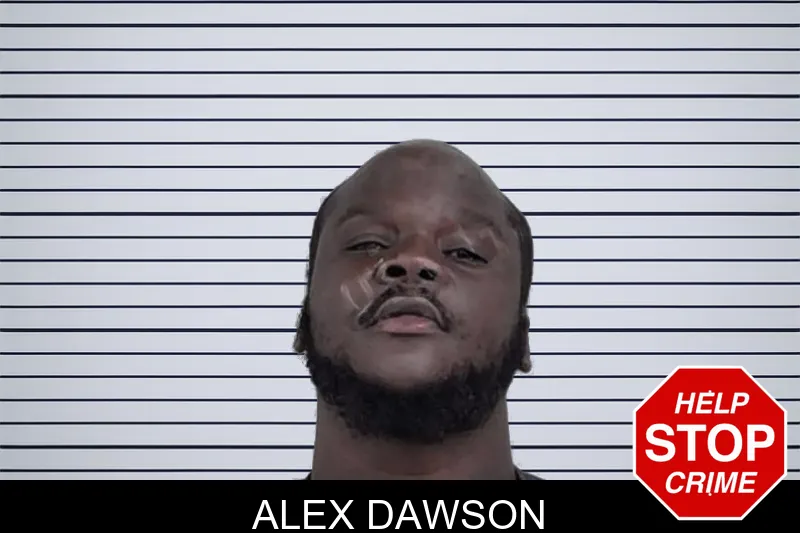 Alex Dawson mugshot – Lowndes County , Georgia Alex Dawson mugshot