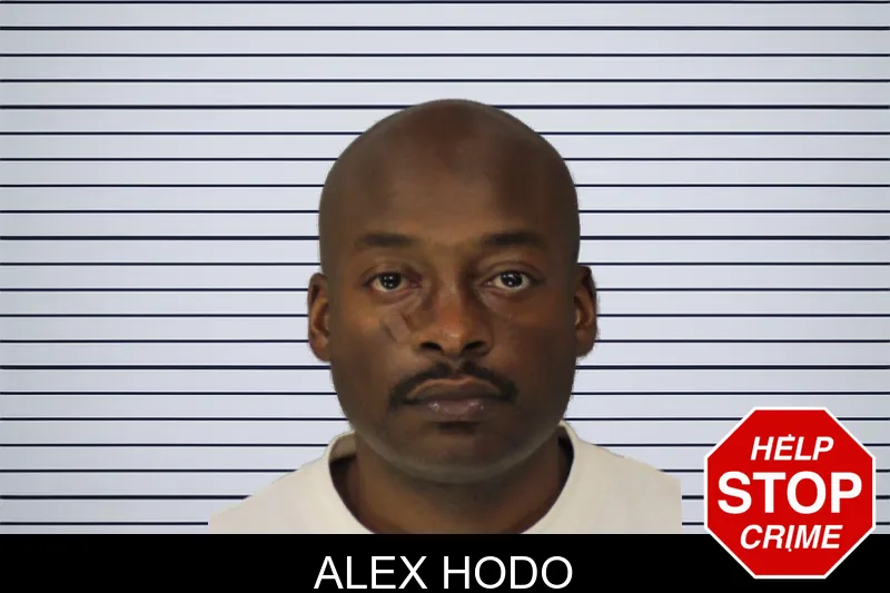 Alex Hodo mugshot – Cobb County , Georgia Alex Hodo mugshot