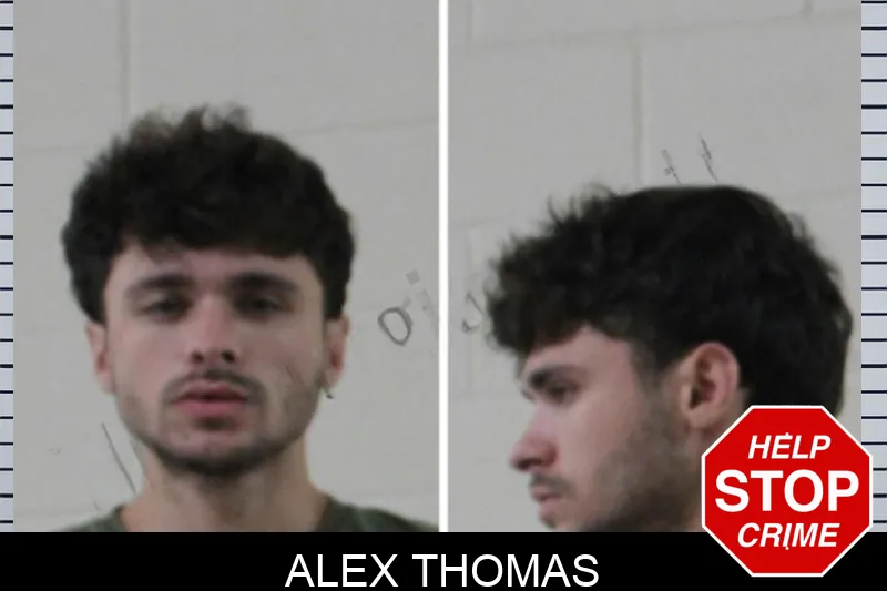 Alex Thomas mugshot – Houston County , Georgia Alex Thomas mugshot