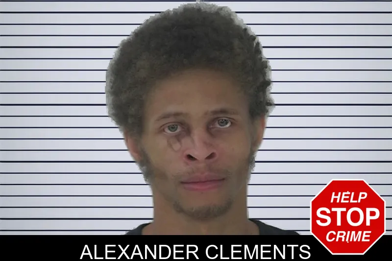 Alexander Clements mugshot – Fayette County , Georgia Alexander Clements mugshot