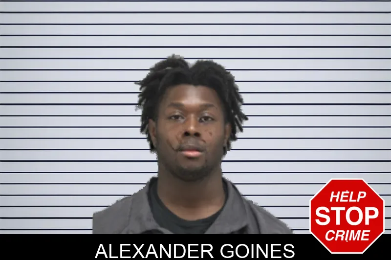 Alexander Goines mugshot – Dougherty County , Georgia Alexander Goines mugshot