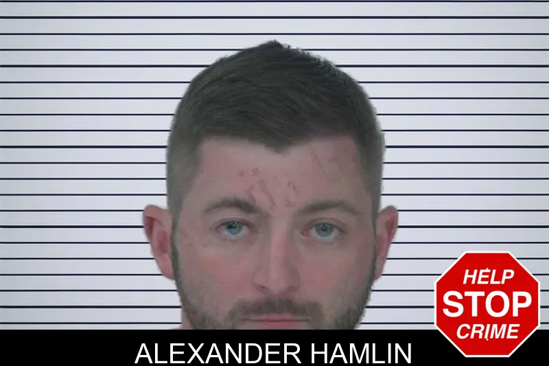 Alexander Hamlin mugshot – Fayette County , Georgia Alexander Hamlin mugshot