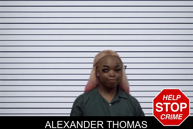 Alexander Thomas mugshot – Irwin County , Georgia Alexander Thomas mugshot