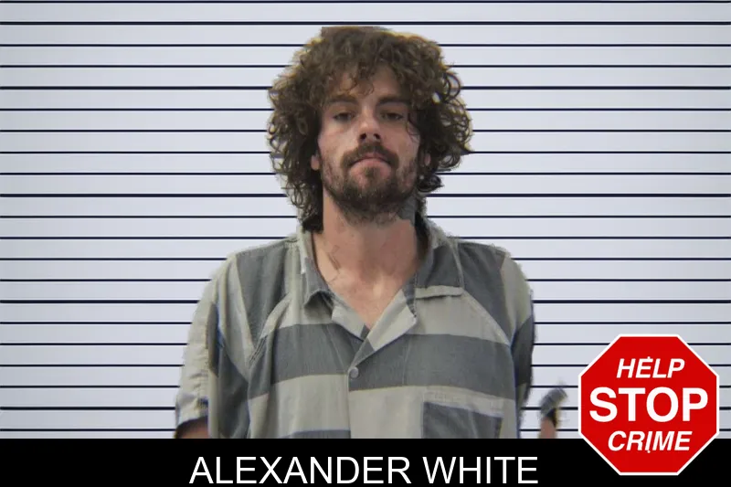Alexander White mugshot