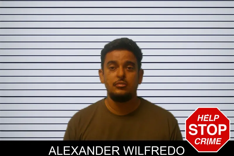 Alexander Wilfredo mugshot – Franklin County , Georgia Alexander Wilfredo mugshot