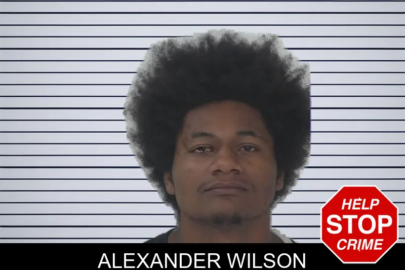 Alexander Wilson mugshot – Fayette County , Georgia Alexander Wilson mugshot