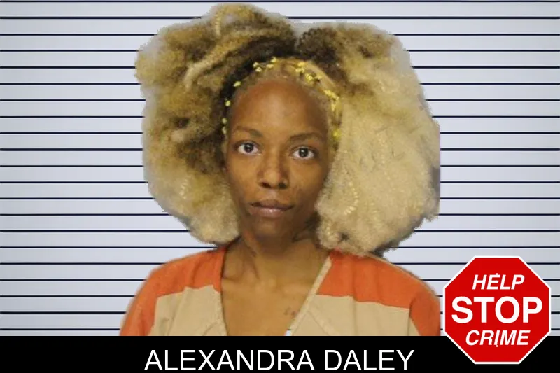 Alexandra Daley mugshot – Hall County , Georgia Alexandra Daley mugshot