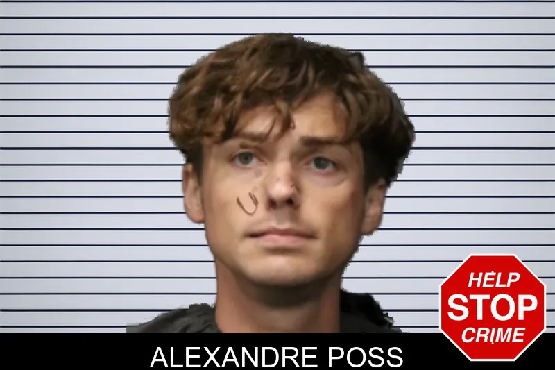 Alexandre Poss mugshot – Forsyth County , Georgia Alexandre Poss mugshot