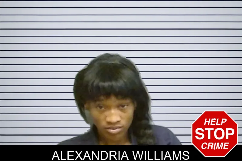 Alexandria Williams mugshot – Fulton County , Georgia Alexandria Williams mugshot