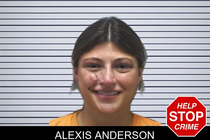 Alexis Anderson mugshot