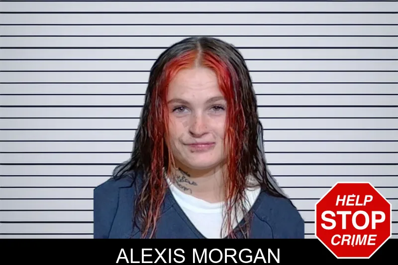 Alexis Morgan mugshot – Glynn County , Georgia Alexis Morgan mugshot