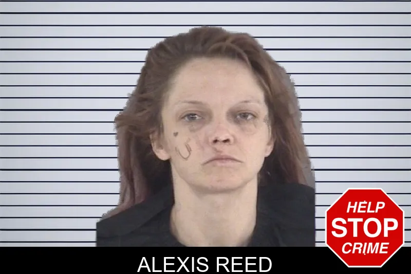 Alexis Reed mugshot – Spalding County , Georgia Alexis Reed mugshot