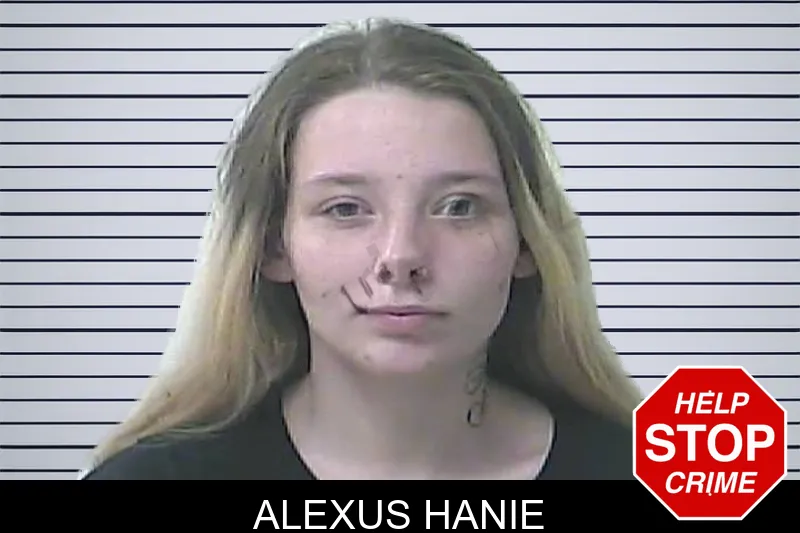 Alexus Hanie mugshot – Oconee County , Georgia Alexus Hanie mugshot