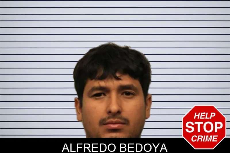 Alfredo Bedoya mugshot – Chatham County , Georgia Alfredo Bedoya mugshot