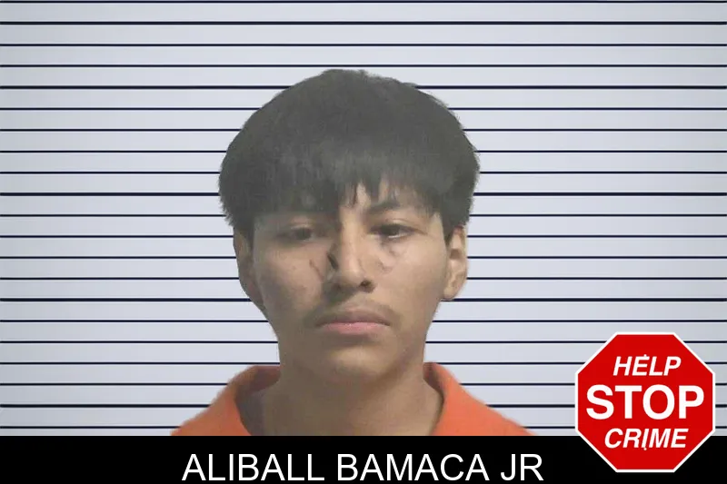 Aliball Bamaca Jr mugshot – Colquitt County , Georgia Aliball Bamaca Jr mugshot