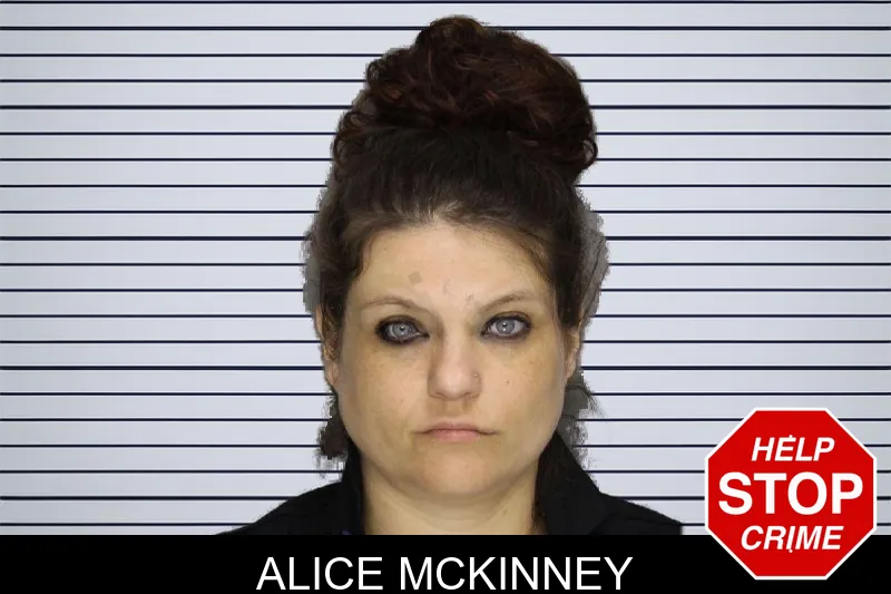 Alice McKinney mugshot – Cobb County , Georgia Alice McKinney mugshot