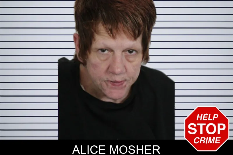 Alice Mosher mugshot – Floyd County , Georgia Alice Mosher mugshot