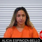 Alicia Espinoza-Bello mugshot – Polk County , Georgia Alicia Espinoza-Bello mugshot