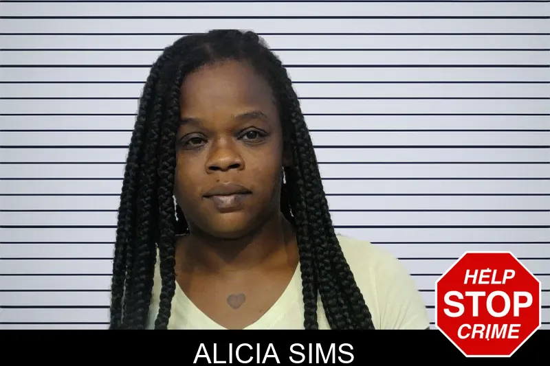 Alicia Sims mugshot – Bibb County , Georgia Alicia Sims mugshot