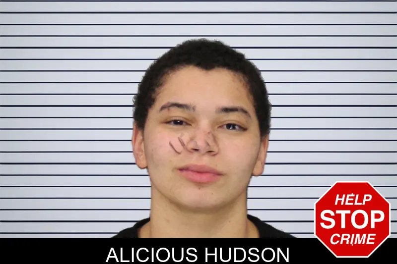 Alicious Hudson mugshot – Cobb County , Georgia Alicious Hudson mugshot
