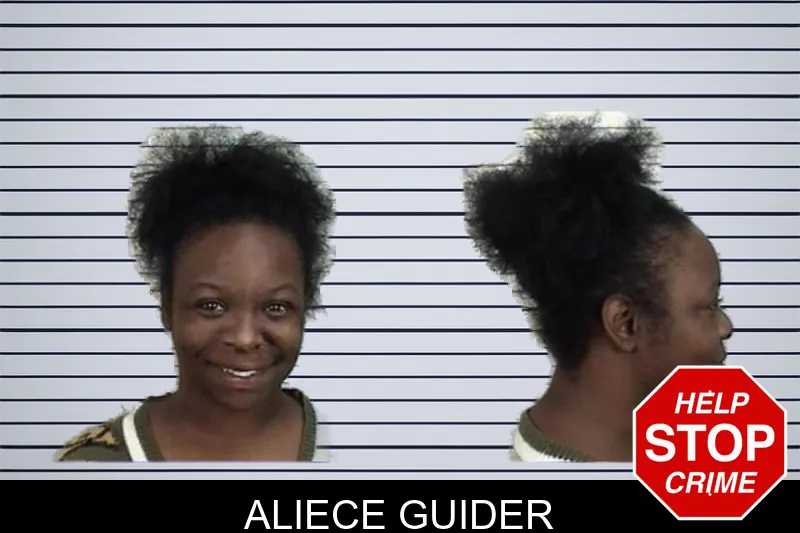 Aliece Guider mugshot – Camden County , Georgia Aliece Guider mugshot