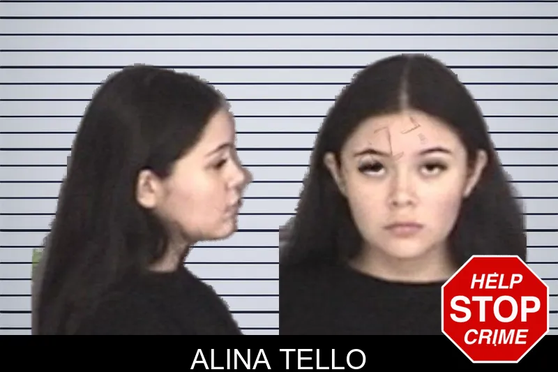 Alina Tello mugshot – Barrow County , Georgia Alina Tello mugshot