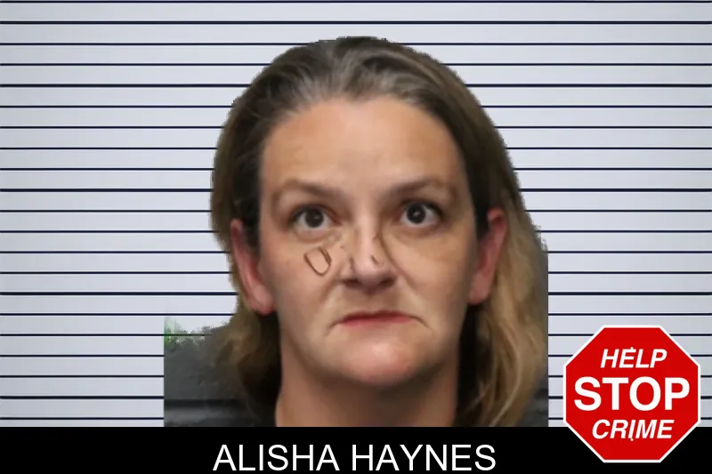 Alisha Haynes mugshot – Forsyth County , Georgia Alisha Haynes mugshot