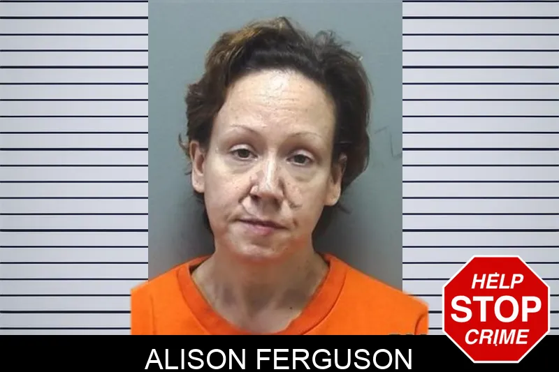 Alison Ferguson mugshot – Cherokee County , Georgia Alison Ferguson mugshot