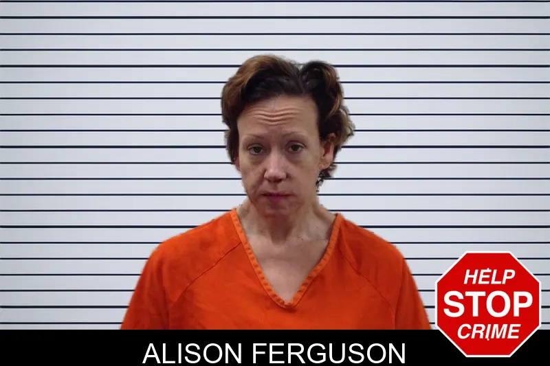Alison Ferguson mugshot