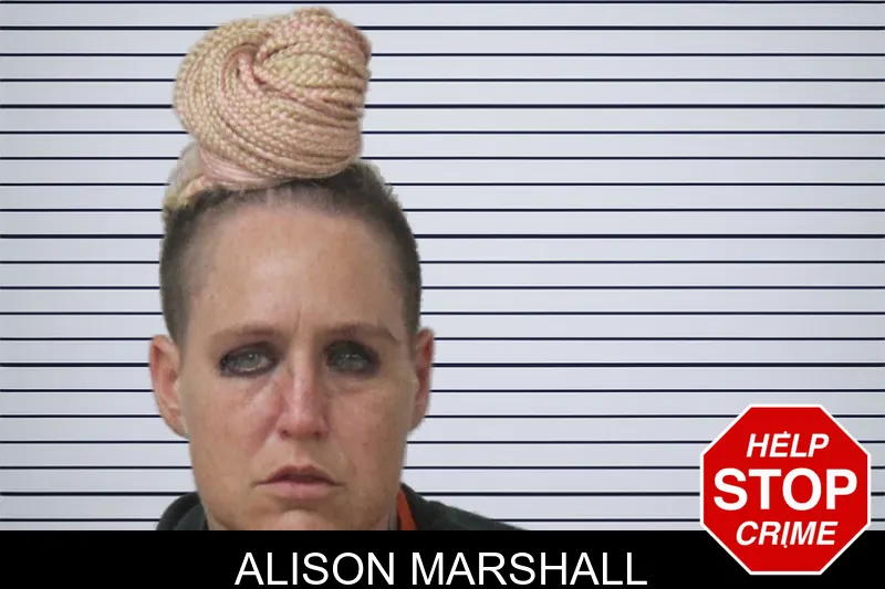 Alison Marshall mugshot – Mcintosh County , Georgia Alison Marshall mugshot