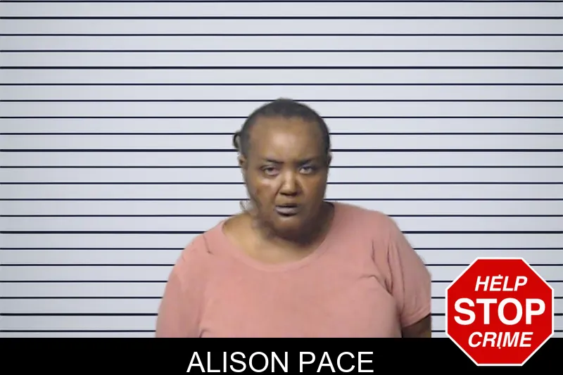 Alison Pace mugshot – DeKalb County , Georgia Alison Pace mugshot