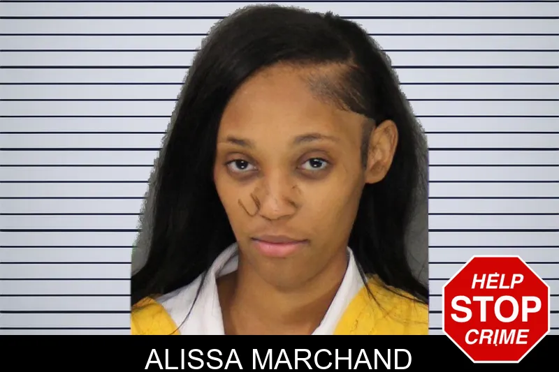 Alissa Marchand mugshot – Cobb County , Georgia Alissa Marchand mugshot