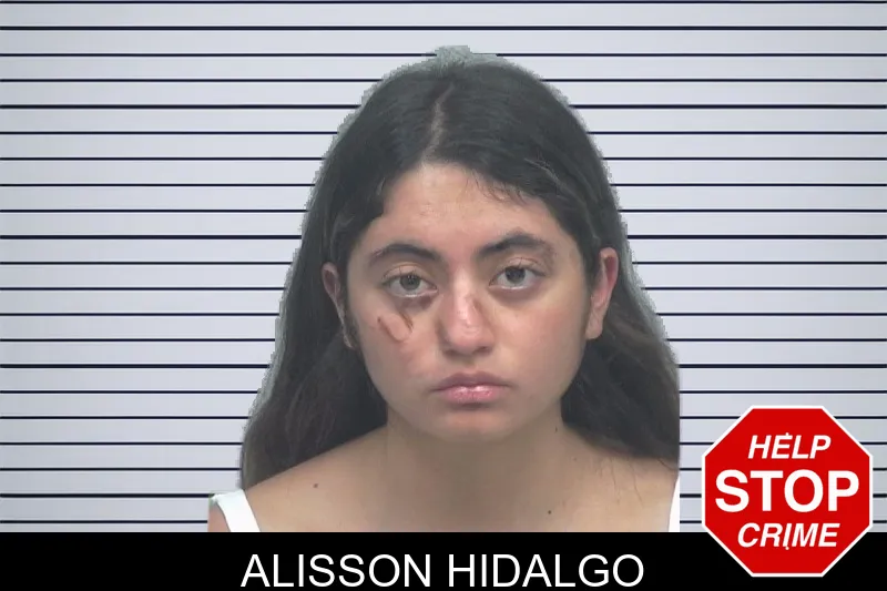 Alisson Hidalgo mugshot