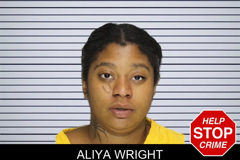 Aliya Wright mugshot – Cobb County , Georgia Aliya Wright mugshot