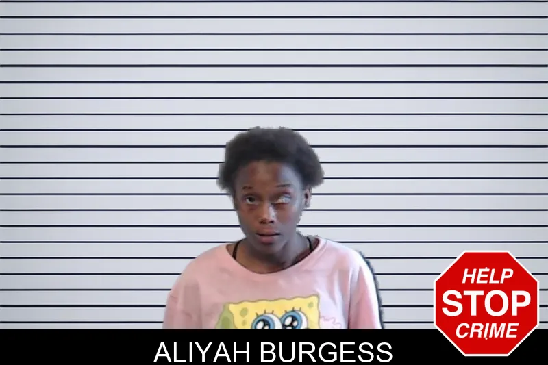 Aliyah Burgess mugshot – DeKalb County , Georgia Aliyah Burgess mugshot