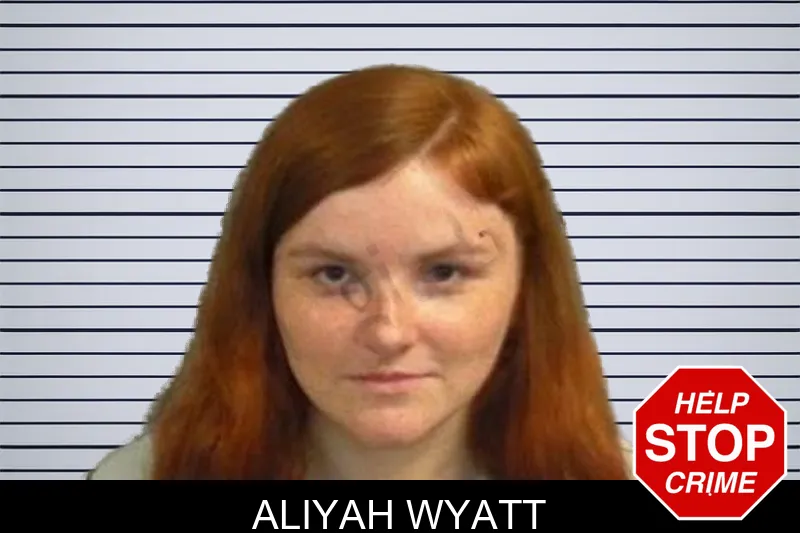 Aliyah Wyatt mugshot – Upson County , Georgia Aliyah Wyatt mugshot
