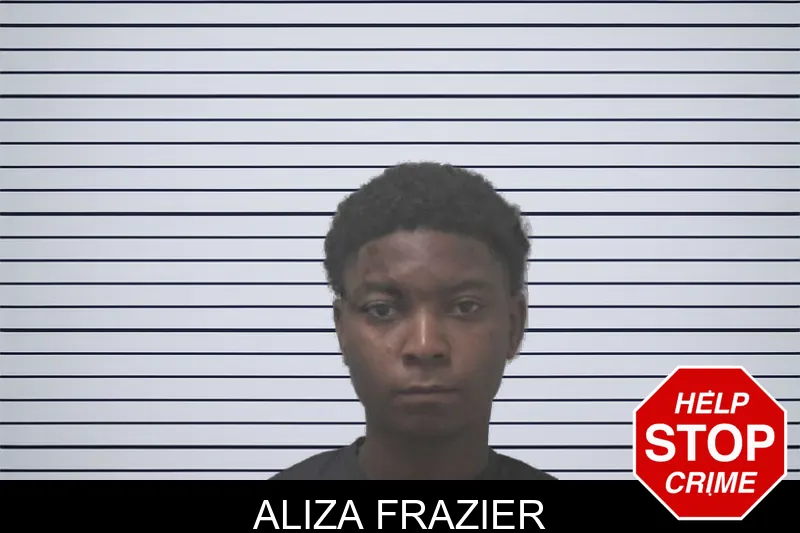 Aliza Frazier mugshot – Coweta County , Georgia Aliza Frazier mugshot