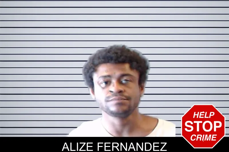 Alize Fernandez mugshot