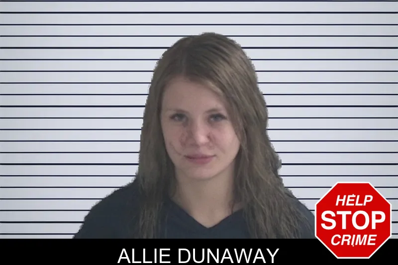Allie Dunaway mugshot – Brantley County , Georgia Allie Dunaway mugshot
